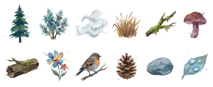 Nature elements icons set. Forest and outdoor life concept. Includes pine tree, juniper bush, cloud, grass, mossy branch, mushroom, log, flower, bird, pine cone, rock, dewy leaf. Watercolor
