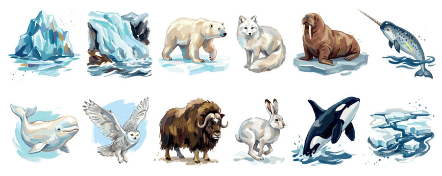 Arctic animals icons set. Wildlife and nature concept. Includes iceberg, polar bear, arctic fox, walrus, narwhal, beluga whale, snowy owl, musk ox, arctic hare, killer whale. Watercolor