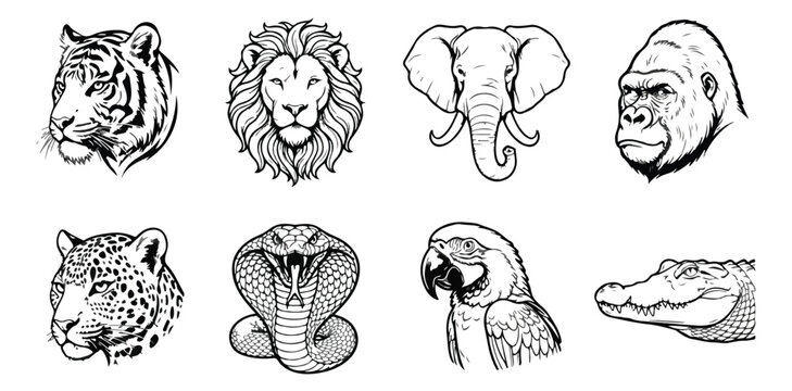 Wild animal head illustrations, set of 8 jungle wildlife vector icons, black and white safari animal line art for logos and t-shirt design