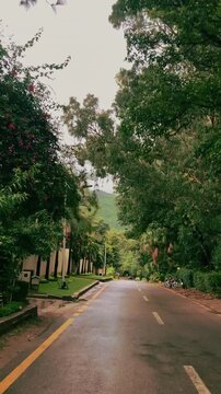 Scenic Islamabad Road with Margalla Hills and Green Trees in Pakistan