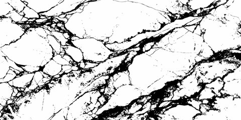 Obraz premium Abstract Black Marble Texture with Natural White Vein Pattern for Luxury Background and Elegant Design