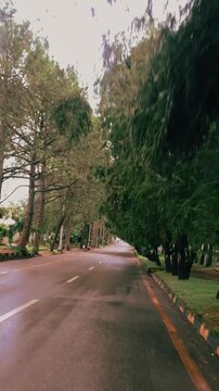 Vertical Scenic Drive Through Tree-Lined Hill Road in Islamabad, Pakistan