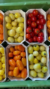 Colorful cherry tomatoes in eco friendly cardboard packaging at a market