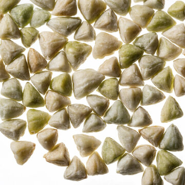 Macro Shot of Raw Green Buckwheat Groats Background Patternbuckwheat, groats, green, grain, seed, cereal, food, organic, health, macro, close-up, raw, natural, plant, nutrition, ingredient, agricultur