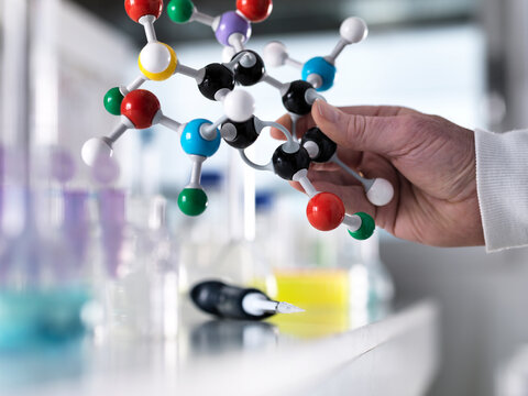 Cropped hand of male scientist holding ball and stick model in laboratory