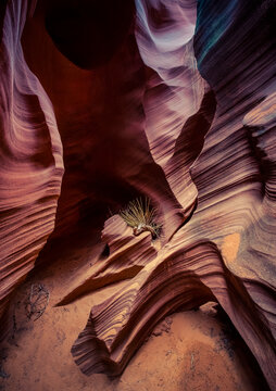 USA, Arizona, Page, Rattlesnake Canyon