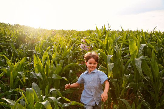Two children playing in a maize field