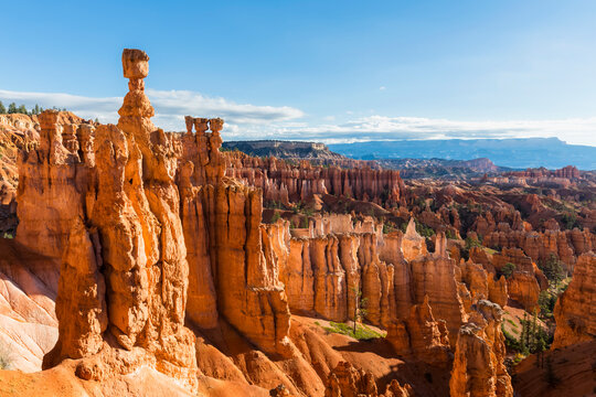 USA, Utah, Bryce Canyon National Park, hoodoos in amphitheater as seen from Navajo Loop Trail