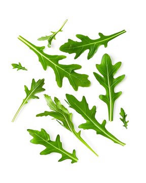 floating arugula leaves isolated on white background