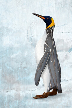 Weathered digital collage illustration of a standing king penguin