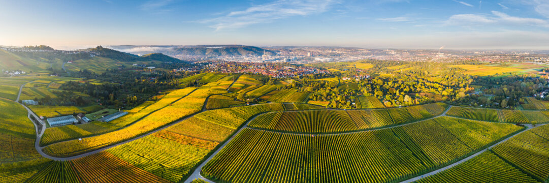 Germany, Baden-Wurttemberg, Stuttgart, Aerial panorama of vast countryside vineyards in autumn