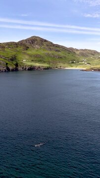 Aerial view of basking sharks at Muckross Head ,Donegal - Ireland