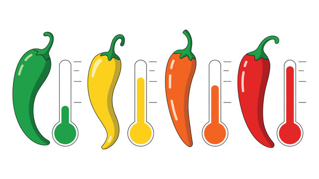 Pepper heat level chart with colorful chili peppers and thermometers, spicy scale infographic for cooking, food seasoning and culinary guide