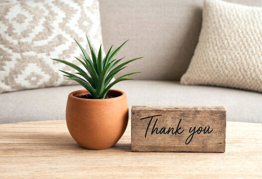 Small potted succulent plant on wooden table with thank you sign beside cozy sofa background