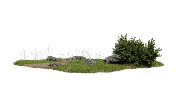 Grass grows in small arewith several rocks scattered around. bush is found on one side. scene shows natural setting with minimal elements. 3d render