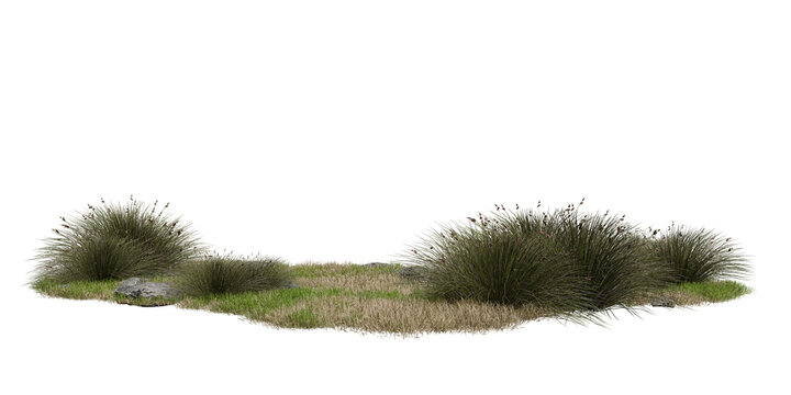 grassy arefeatures several small shrubs and rocks. scene displays greenery, with mix of short and tall grass and shapes of shrubs. This is set against plain white background. 3d render