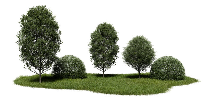 set of trees and bushes stands on green grass. plants are arranged in natural way. background is plain, bringing focus to greenery and structure of plants. 3d render