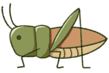 Green grasshopper cartoon character illustration