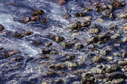 Close-up of wet coastal rocks
