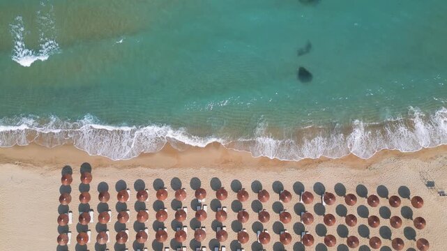 Top Down Aerial View of Beach Umbrellas on Sandy Coast and Sea