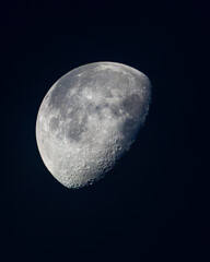 Luna © Stefano Piazza