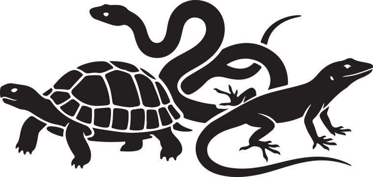 Turtle snake and lizard reptiles group, collection of different animals, wildlife and nature concept.