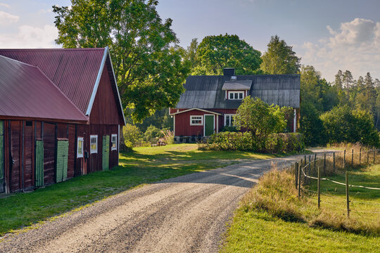 Rural swedish farmstead in &ouml;rseryd traditional red wooden house and barn tranquil forest landscape summer countryside living in Sweden gravel road