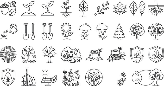 Forestry nature conservation and tree growth stages line art icons setForestry nature conservation and tree growth stages line art icons set