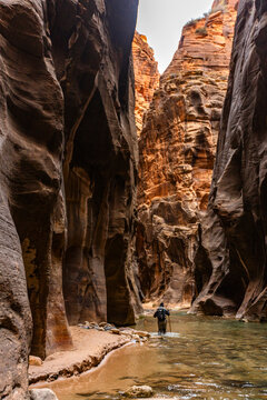 Rear view of woman wading The Narrows of Virgin River