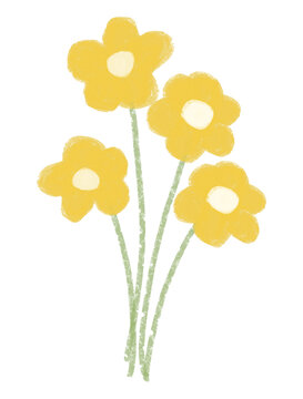 Hand drawn yellow flower stems with a soft crayon texture and delicate botanical style.