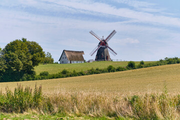Fototapeta premium Rural landscape with Havnbjerg Molle windmill and traditional thatched house agricultural heritage and sustainable energy in Denmark countryside