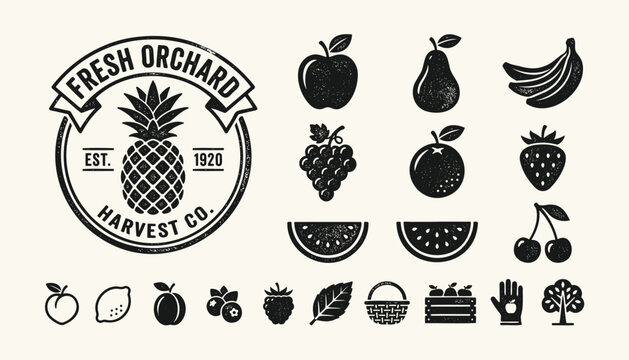 Vintage fruit icons and orchard harvest logo badge set with rustic woodcut texture