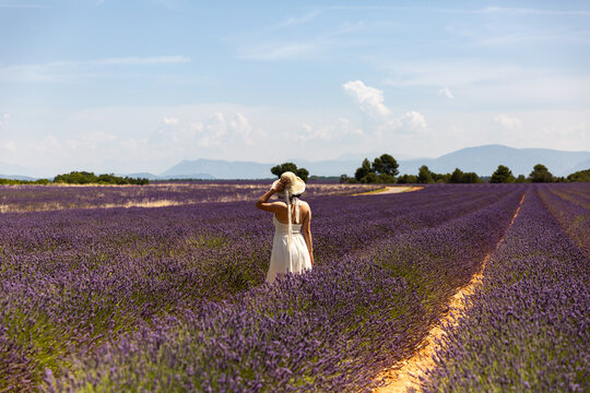 Une femme portant une robe blanche et un chapeau regardant l'horizon dans un champ de lavande en fleurs