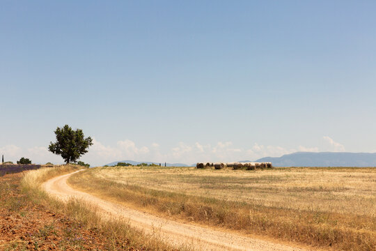 Chemin de terre dans un paysage de campagne avec un arbre au bord du chemin, champs de bl&eacute; coup&eacute; s&eacute;ch&eacute;, bottes de foin, collines et ciel bleu en arri&egrave;re-plan