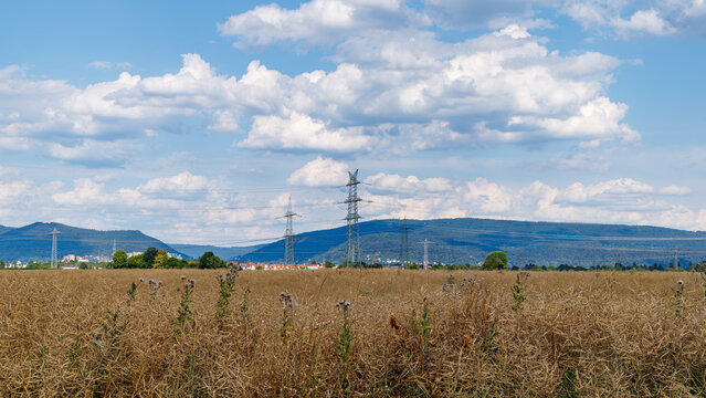Tall power lines stand in a field with mountains and clouds in the background, seen in the afternoon light of a clear day