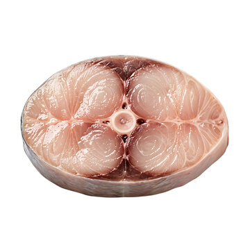 A single fresh raw king mackerel fish steak cut into a round slice presented isolated on transparent background