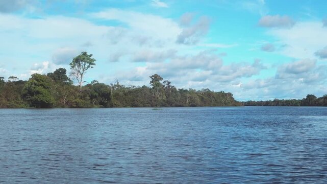 High water levels flooding Amazon forest seasonally