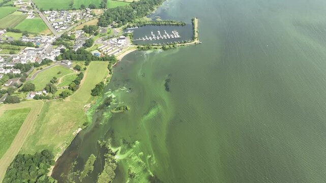 Toxic blue-green algae in lough neagh today