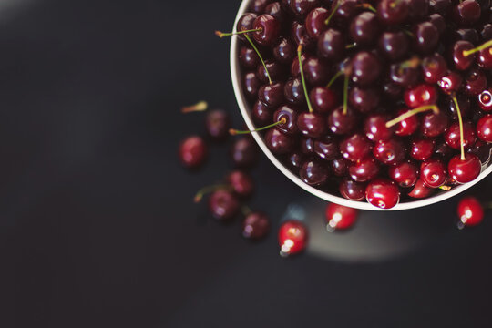 Freshly picked cherries gathered in a bowl, showcasing their vibrant color and tempting allure