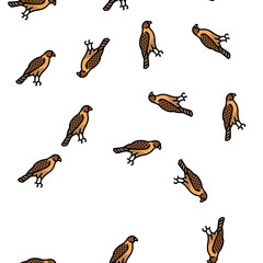 Fototapeta premium hawk bird vector seamless pattern hawk bird sign illustration