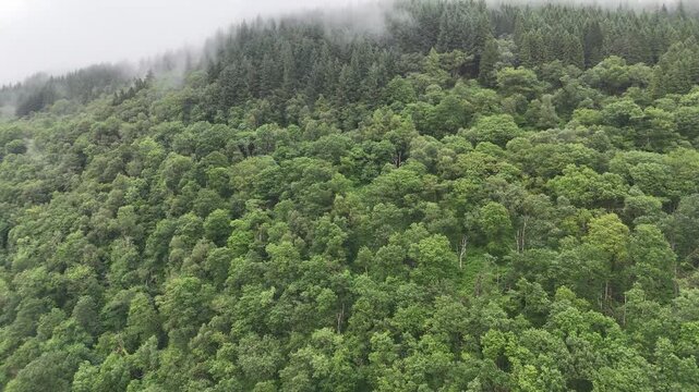 Elevated view of the loch its wooded islands and distant mountains in the Loch Lomond and Trossachs National Park Scotland.