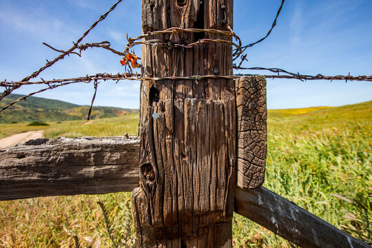 Close-up of rustic fence on Carrizo Plain