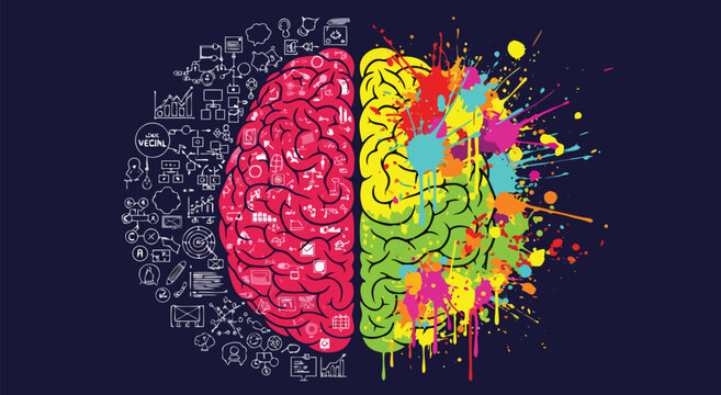 Design illustration showcasing left and right human brain hemispheres depicting logic and creativity on dark background in front view