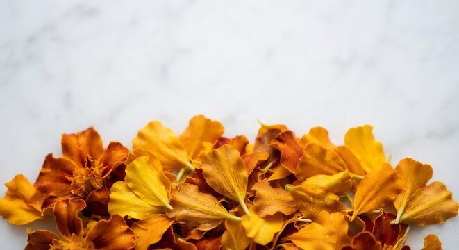 Fresh Marigold Petals on White Marble Surface, Diwali Rangoli Decoration Background for Festive Social Media Content