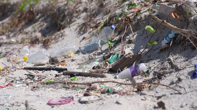 Beach pollution plastic bottle litter waste debris on shoreline sand driftwood, discarded packaging after tide, coastal dune contamination, tourism trash, urgent cleanup and recycling needed