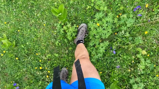 Hiker walking through alpine wildflowers in the Roshka Valley, Georgia, shows responsible mountain tourism, seasonal trail exploration and active travel in the remote Caucasus alpine highlands.