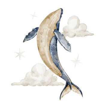 Whale watercolor and clouds and stars illustration. Marine animal flying in the sky on isolated background. Fantasy ocean creature for nursery poster and baby storybook. Art for childish design.