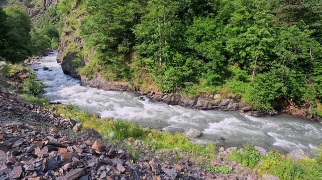 Mountain river rushing through dense forest near Roshka, Georgia, carries highland runoff downstream and represents freshwater resources, riparian habitat and watershed management in the Caucasus