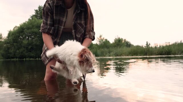 Young woman stands knee deep in river holding rough coated Jack Russell Terrier above water Dog paddles paws in air over surface showing natural swimming reflex while staying in owner arms