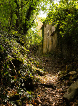 chemin naturel menant &agrave; une ruine